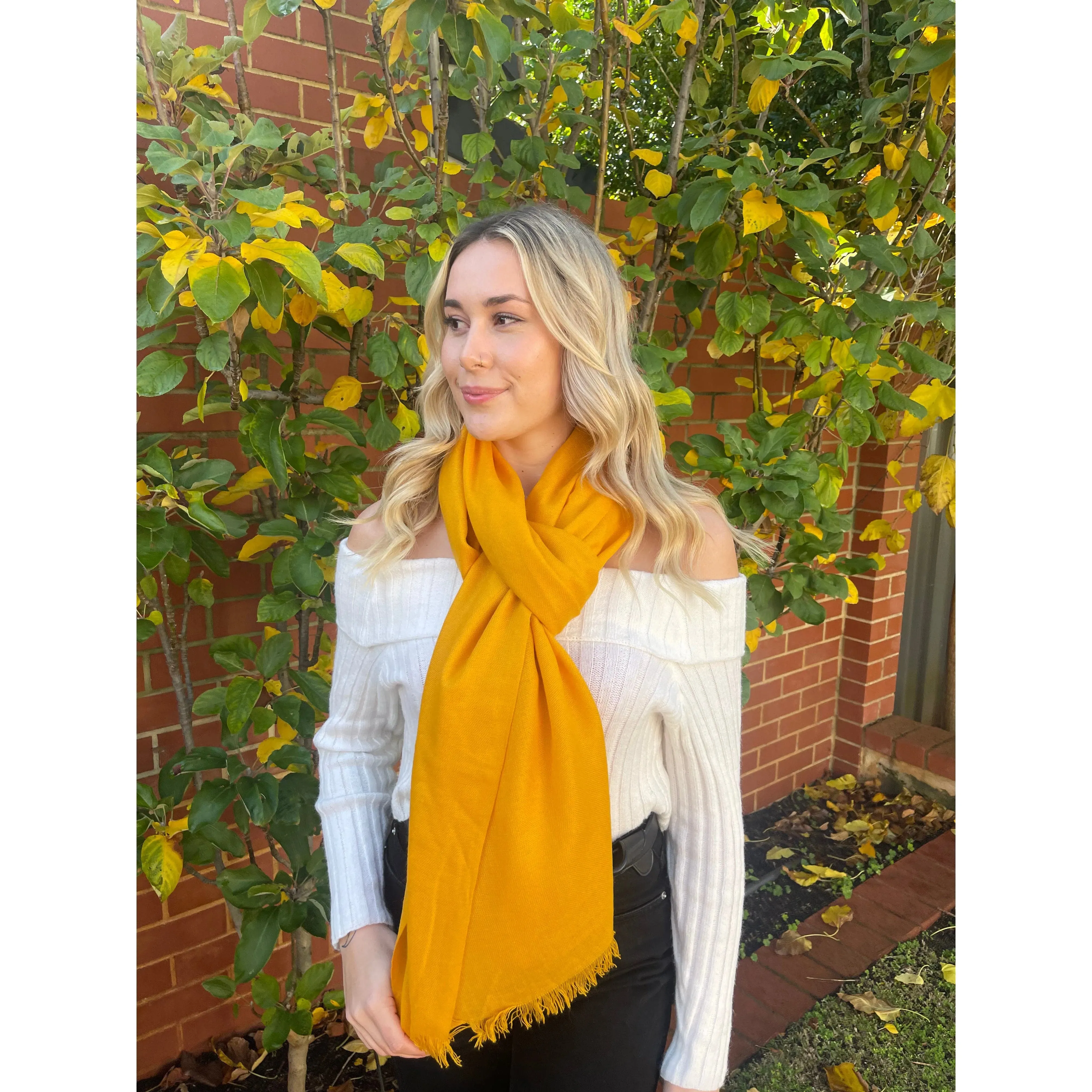Pure Cashmere Shawl - Turmeric Yellow