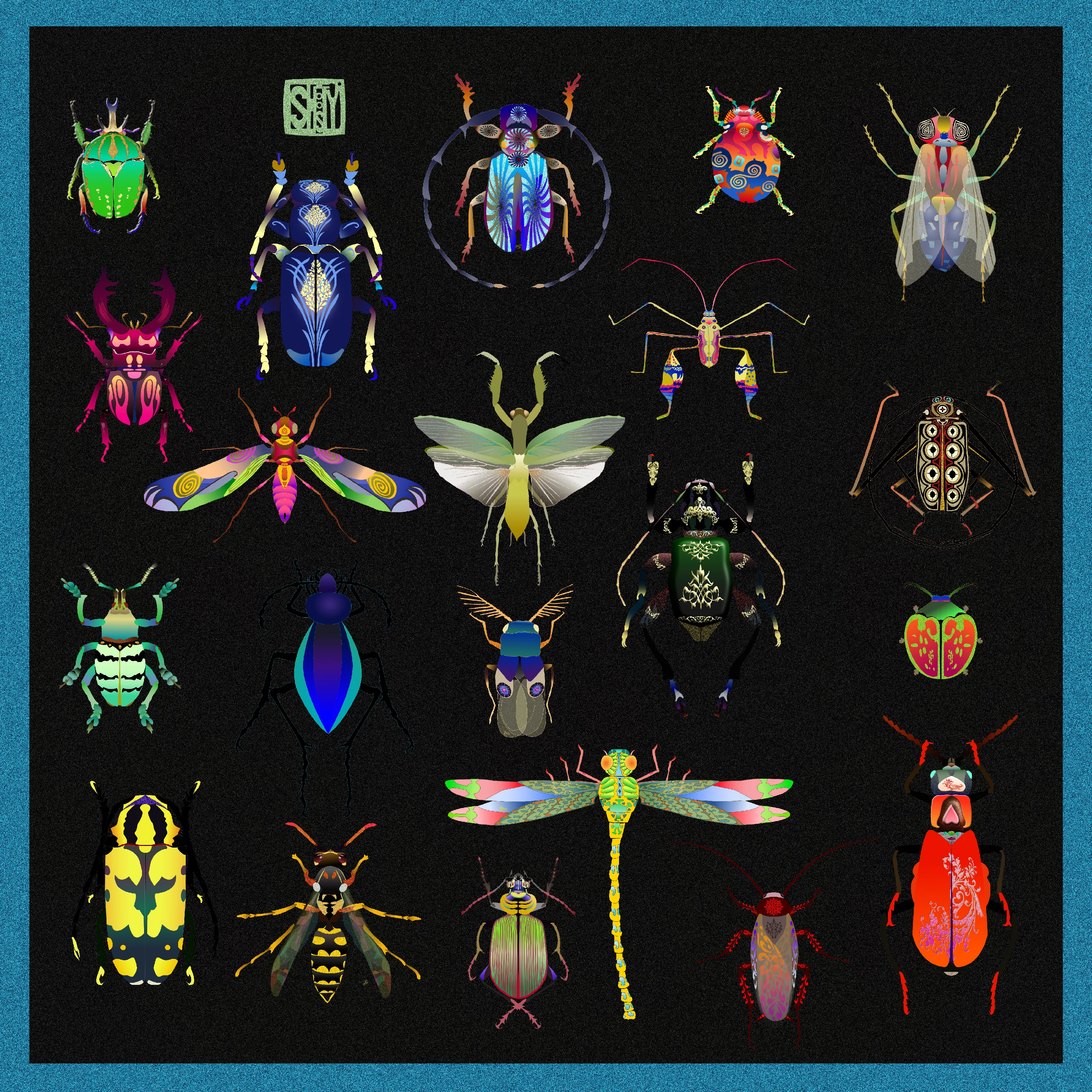 Shoosty Bugs Combo Black